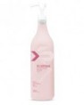 XS CARTHAME